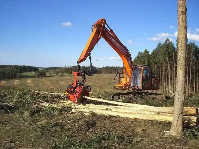 Cabeçote florestal para escavadeira