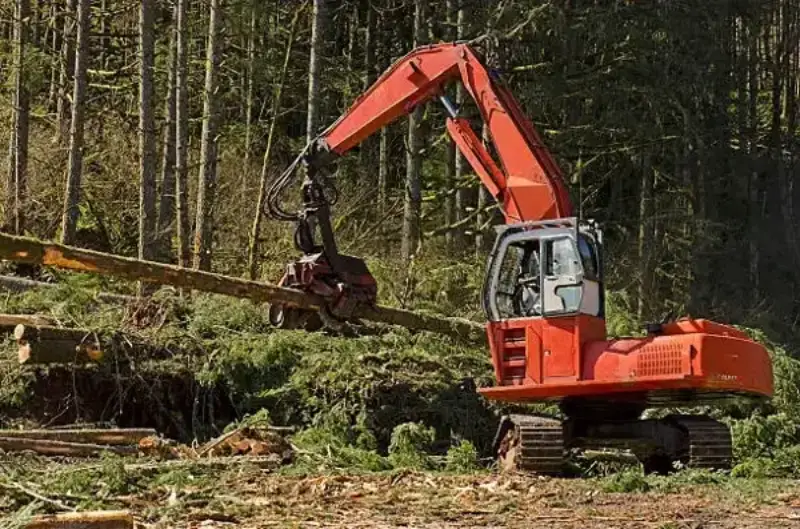 Destocador florestal preço